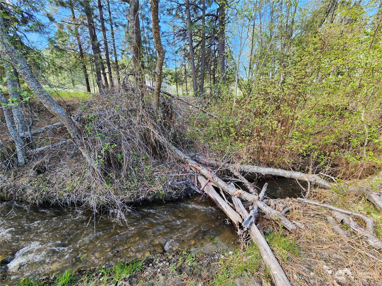 120 Siwash Creek Road