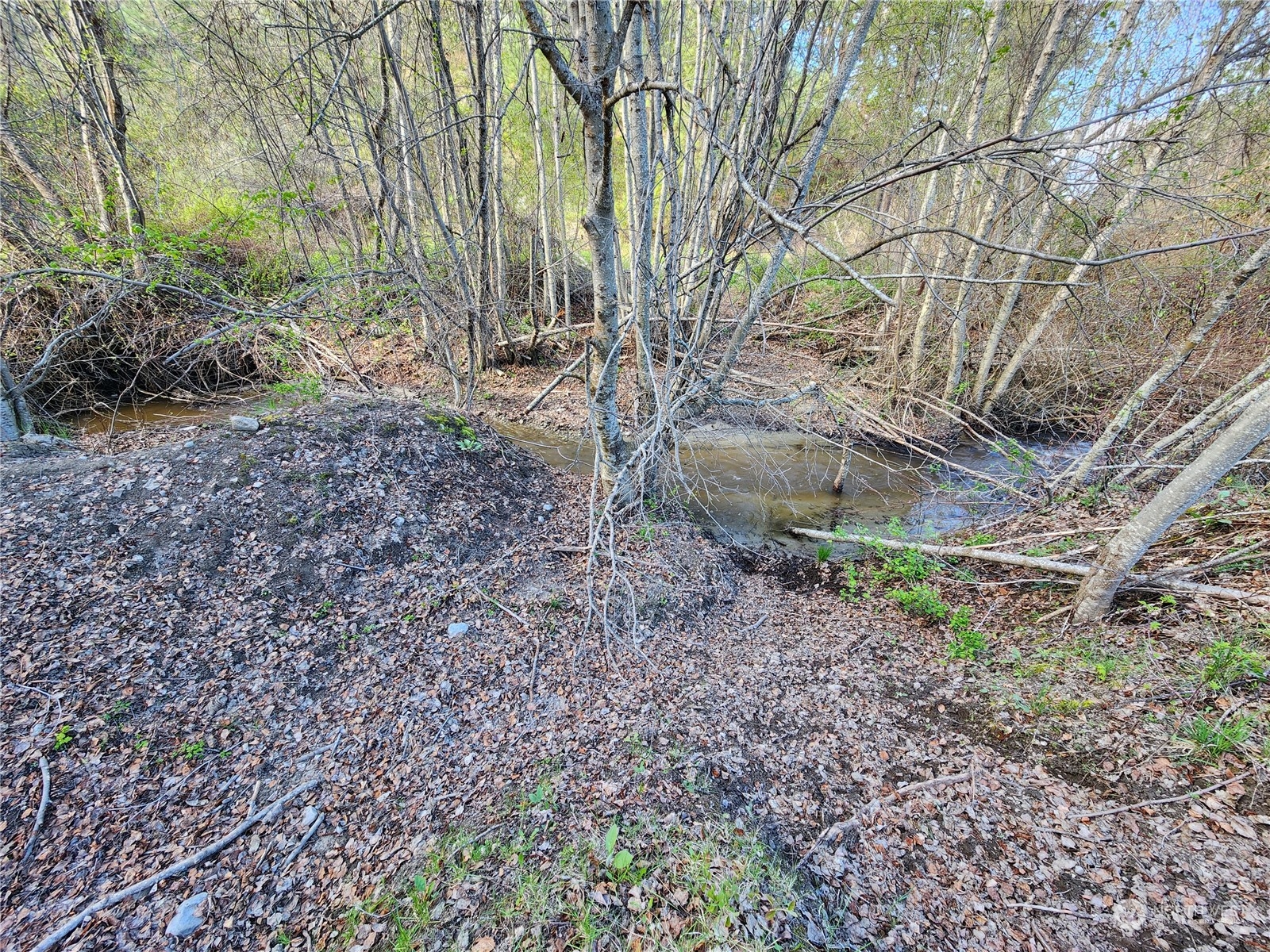 120 Siwash Creek Road