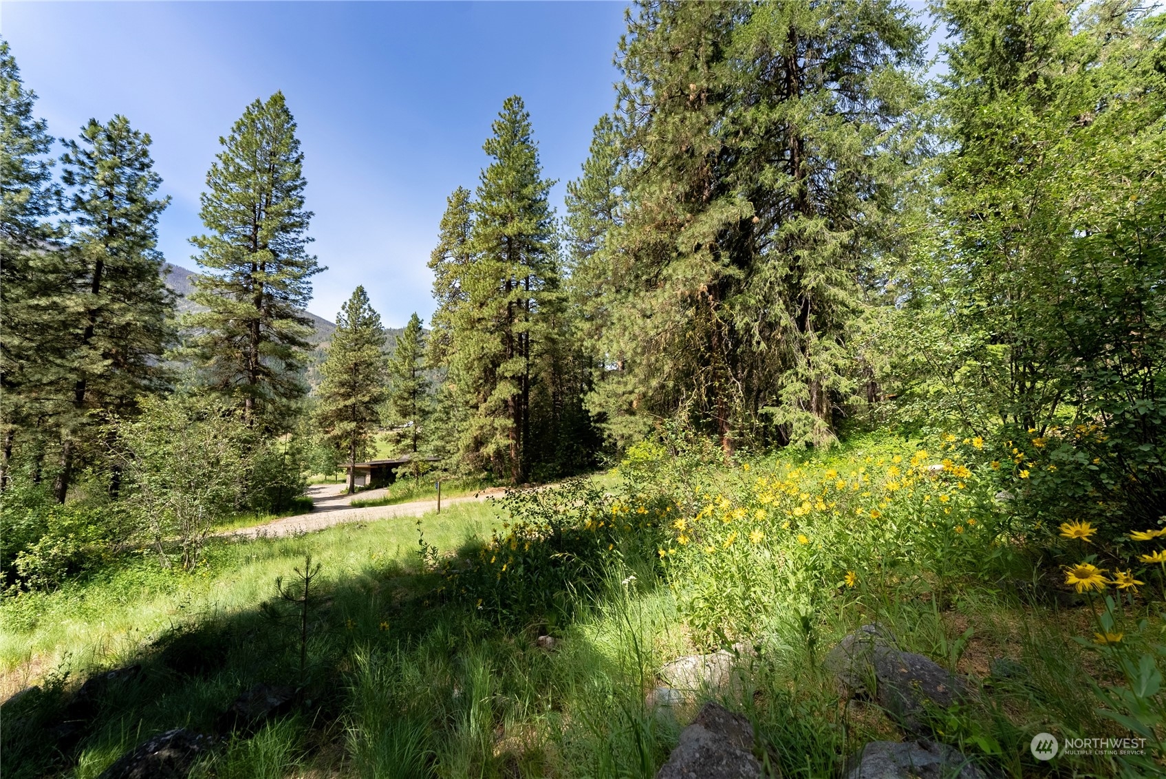 70 Chechaquo Ranch Road