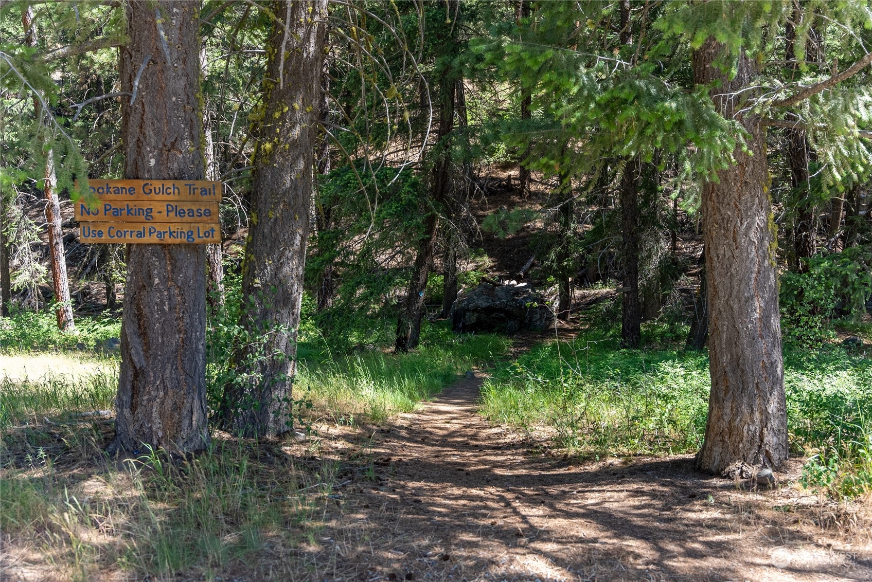 70 Chechaquo Ranch Road