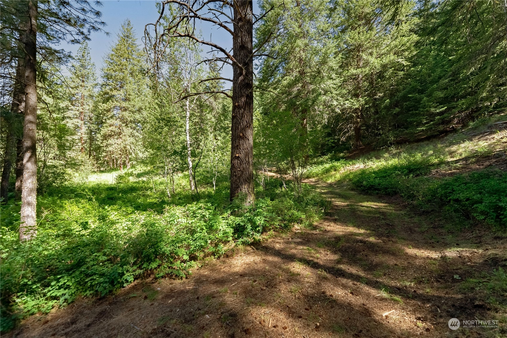 70 Chechaquo Ranch Road