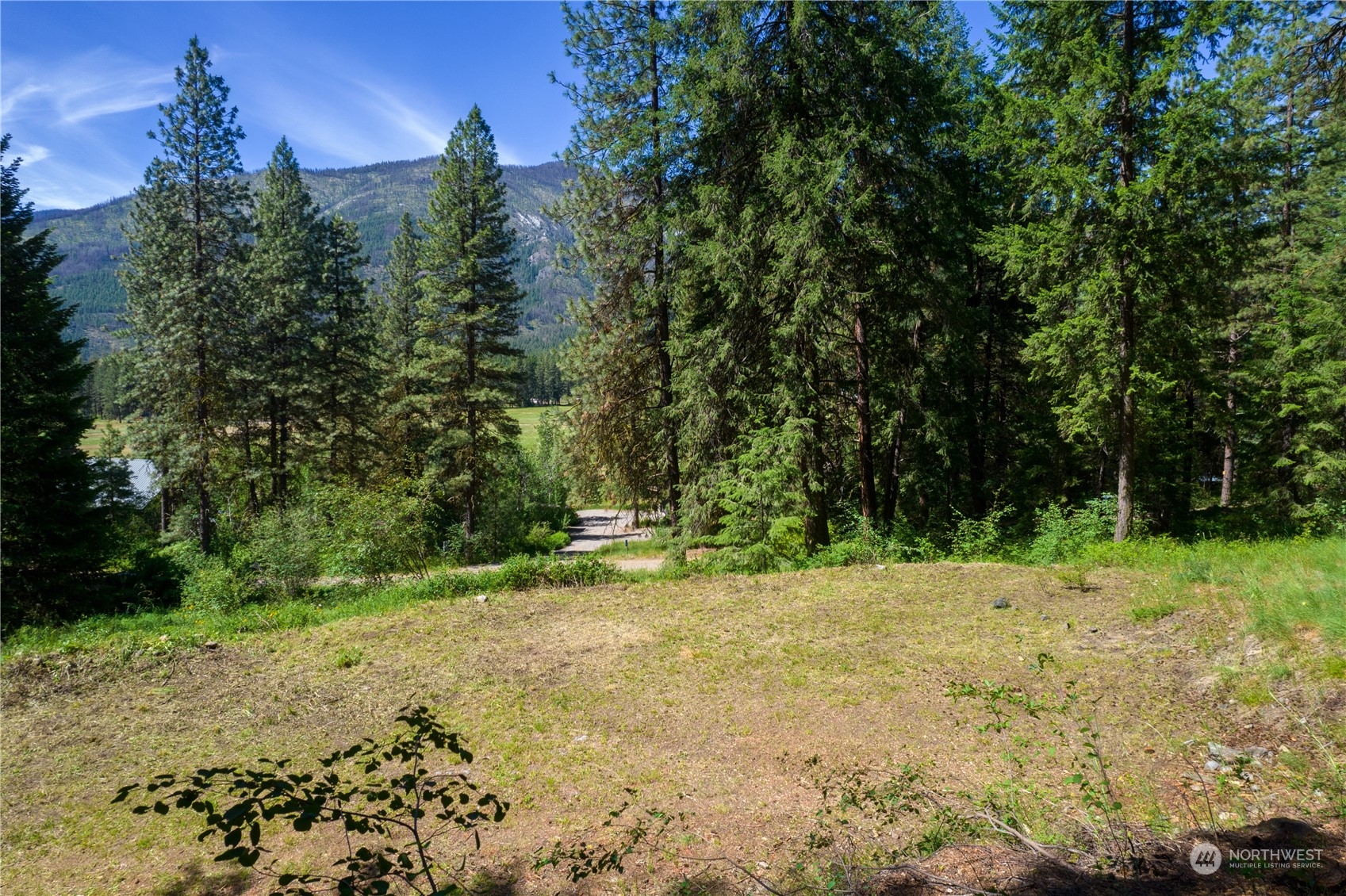 70 Chechaquo Ranch Road