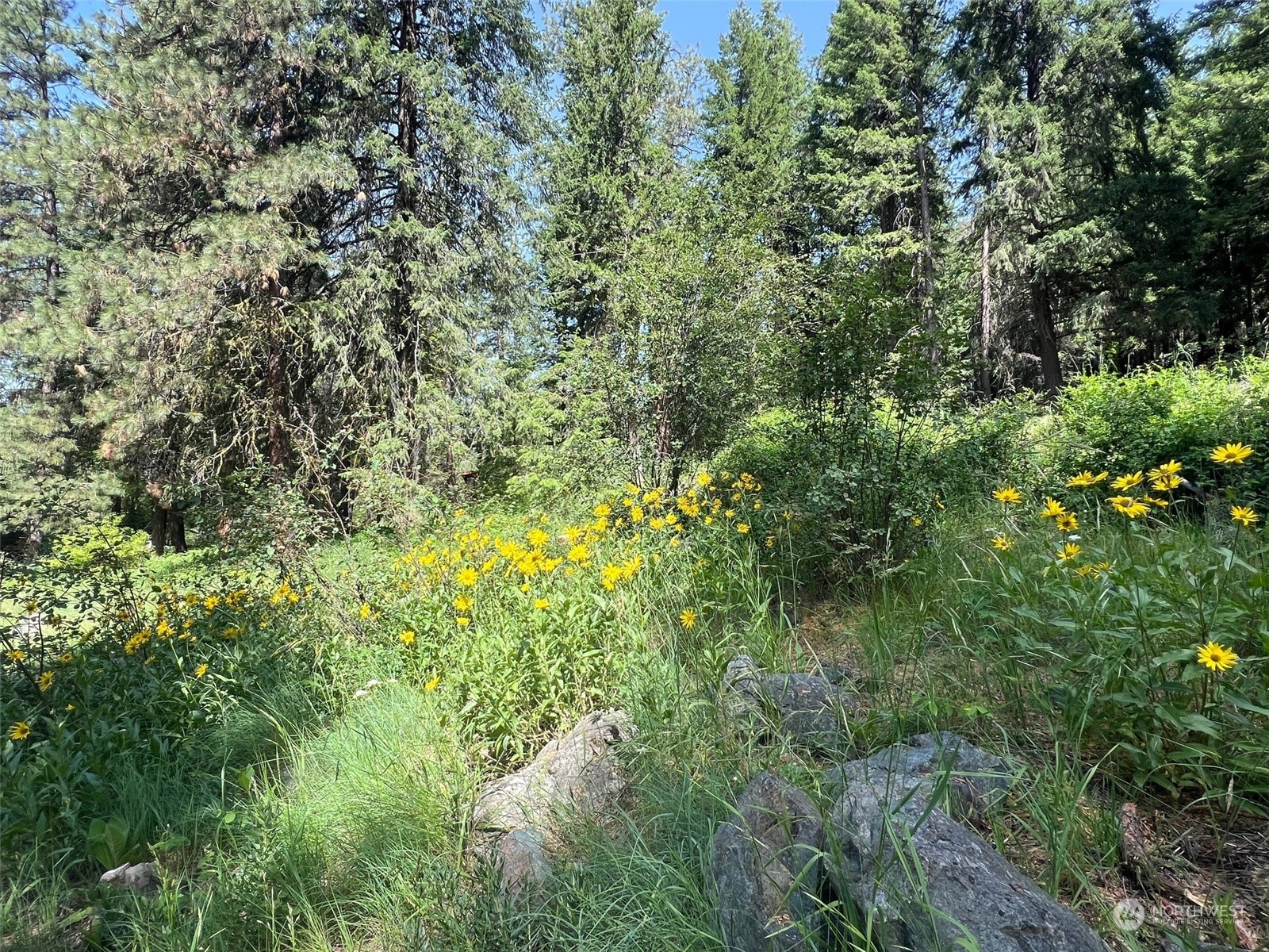 70 Chechaquo Ranch Road