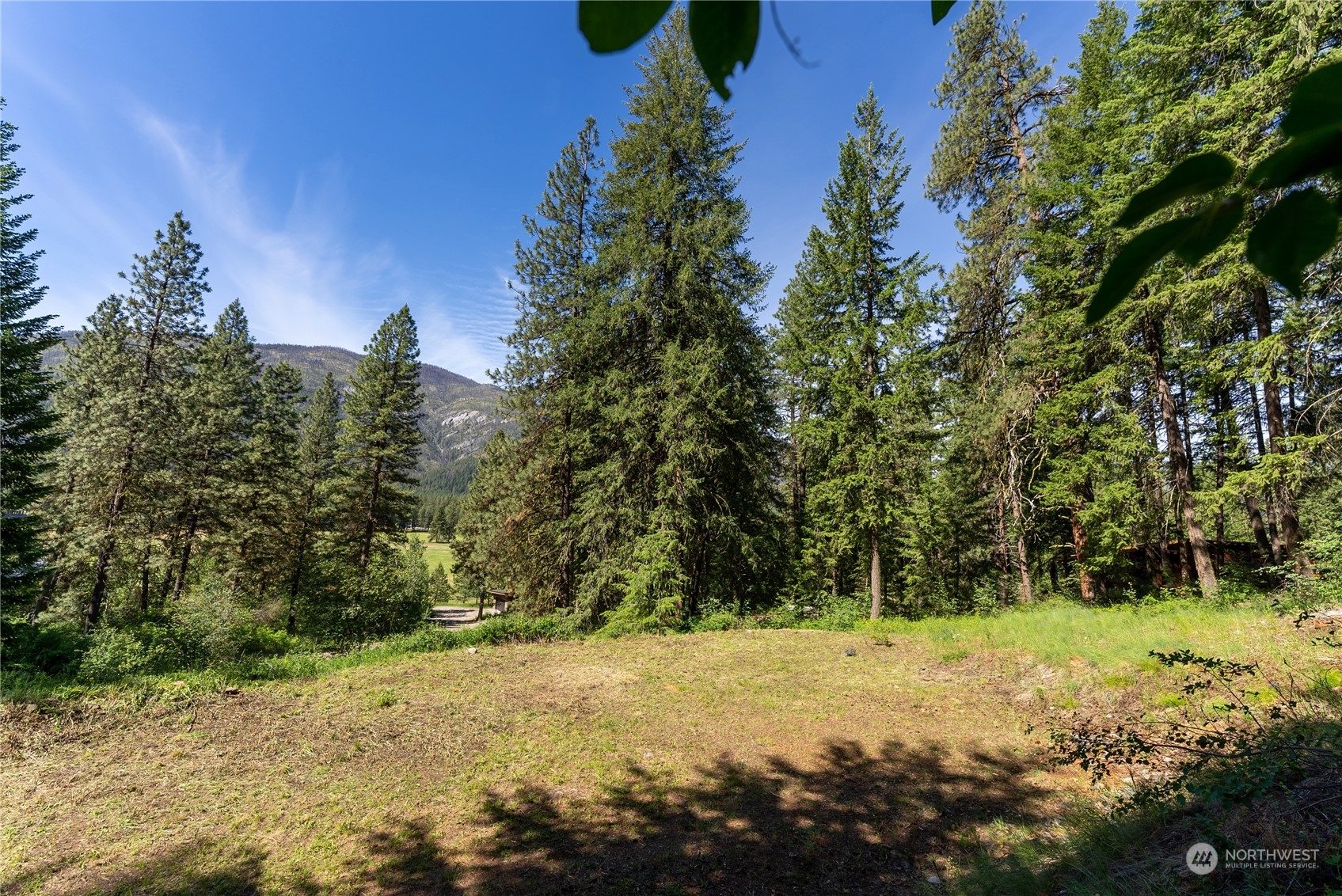 70 Chechaquo Ranch Road