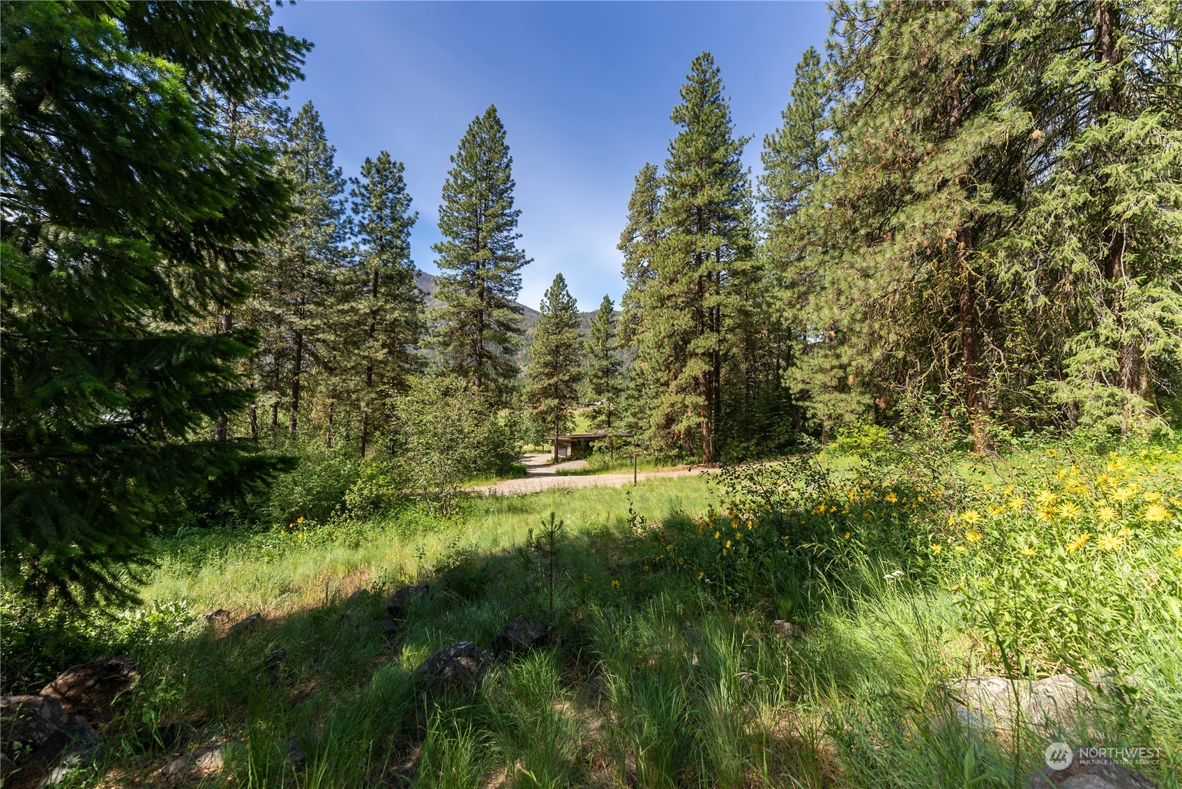 70 Chechaquo Ranch Road