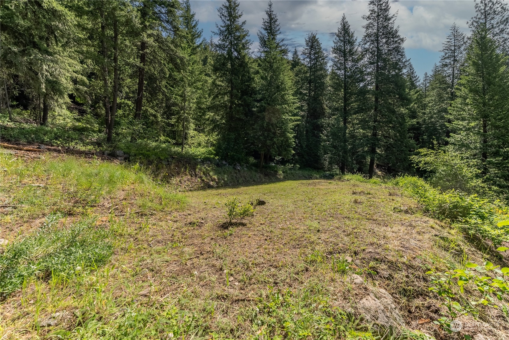 70 Chechaquo Ranch Road