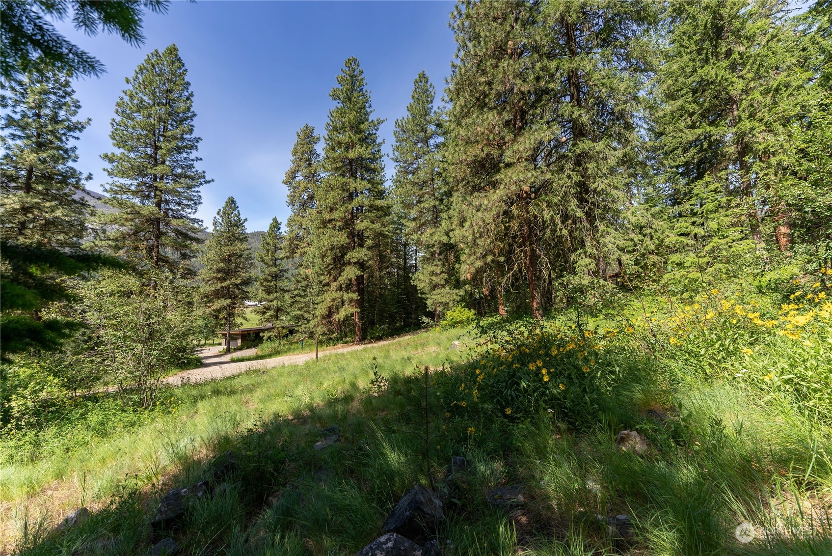 70 Chechaquo Ranch Road