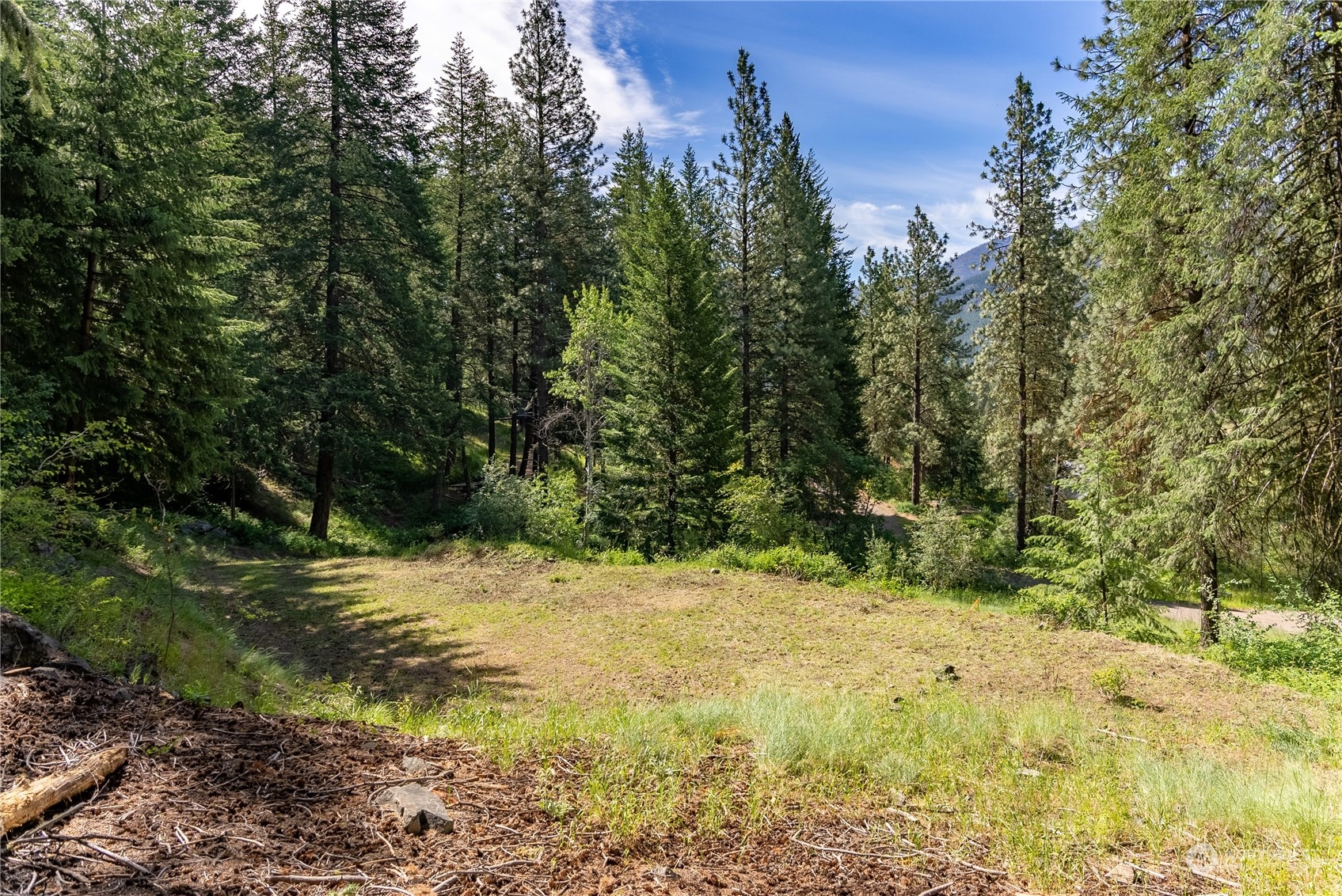 70 Chechaquo Ranch Road