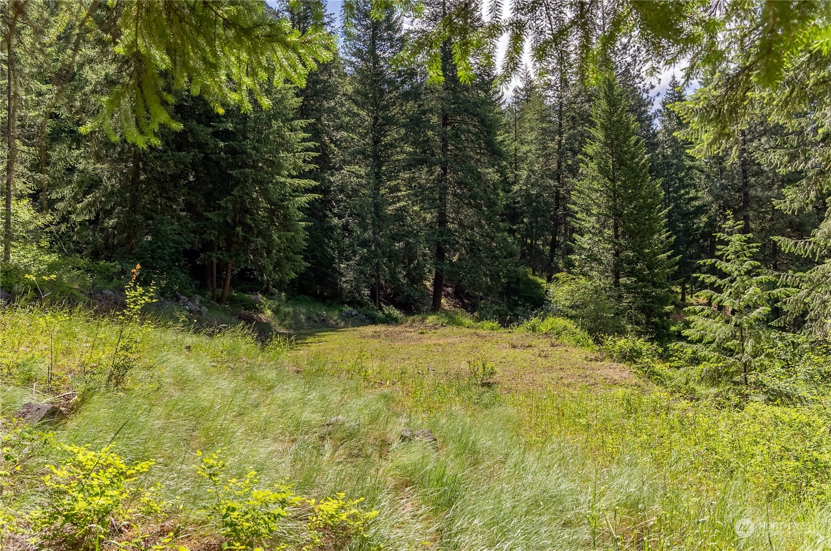70 Chechaquo Ranch Road