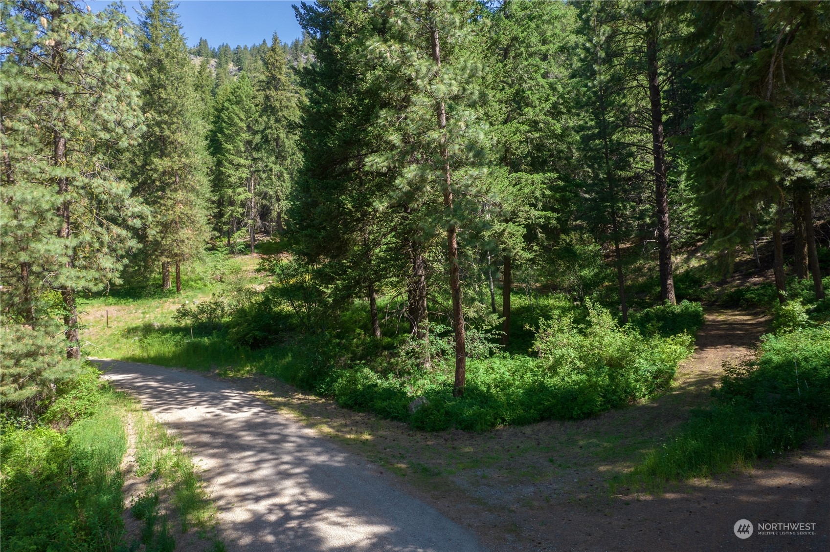 70 Chechaquo Ranch Road