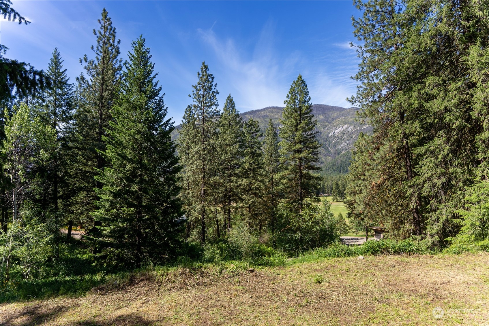 70 Chechaquo Ranch Road