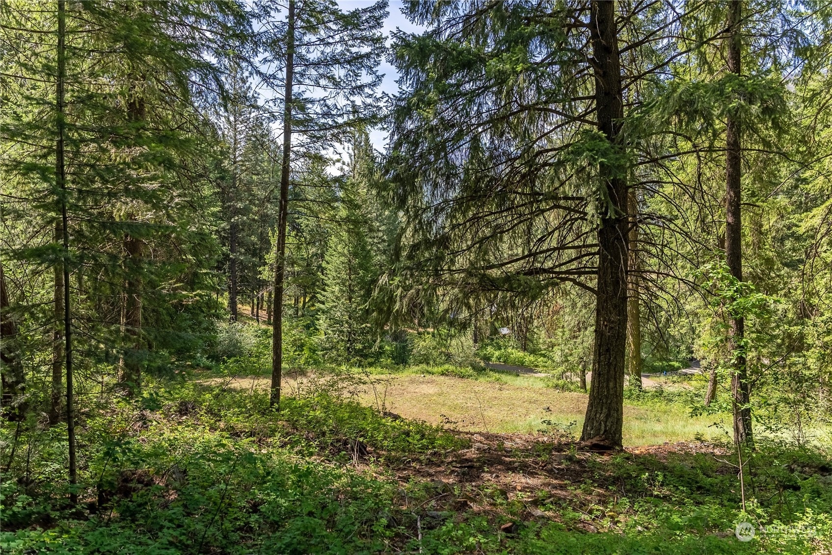 70 Chechaquo Ranch Road