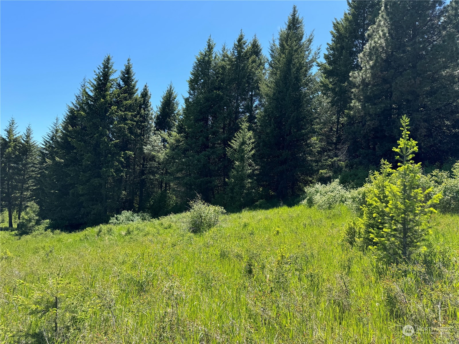 1 TBD Mummarosa Ranch Road