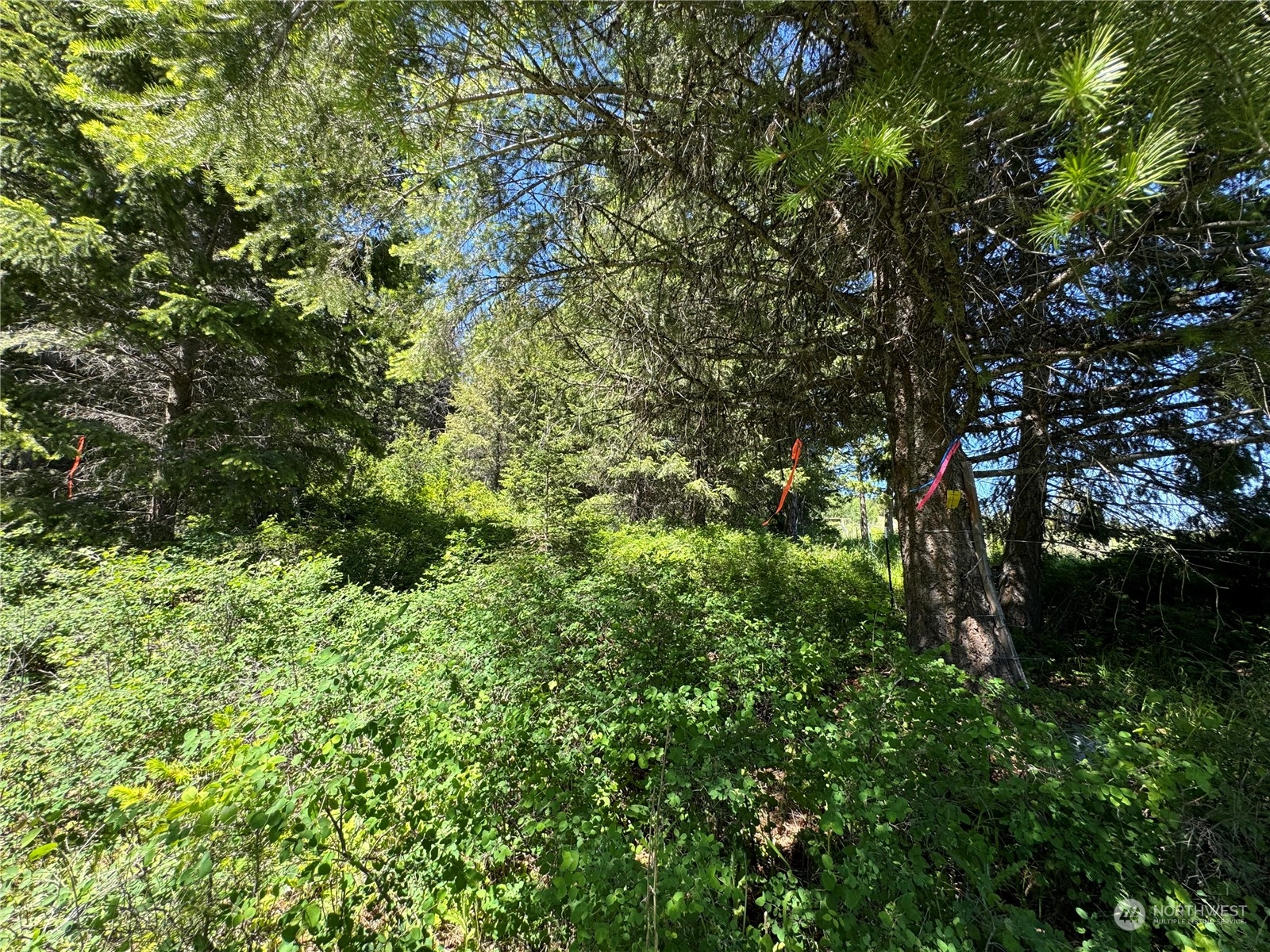 1 TBD Mummarosa Ranch Road