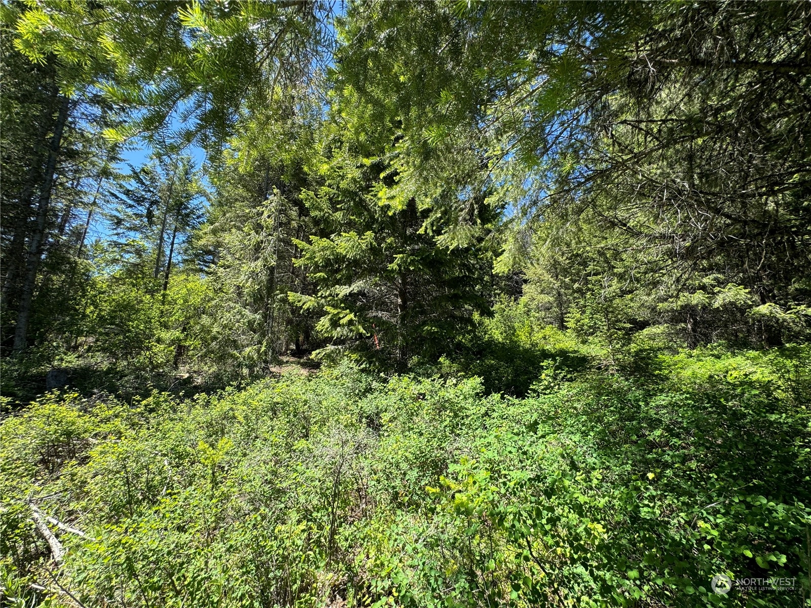 1 TBD Mummarosa Ranch Road