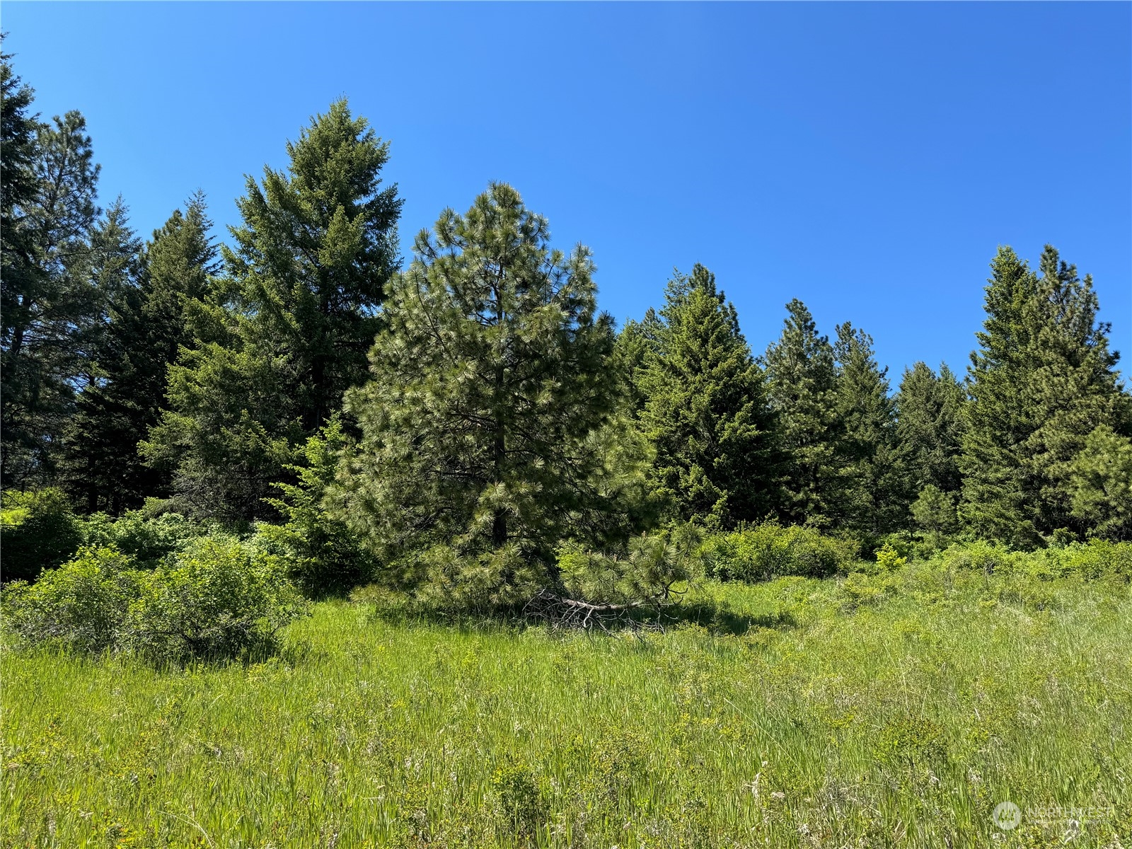 1 TBD Mummarosa Ranch Road