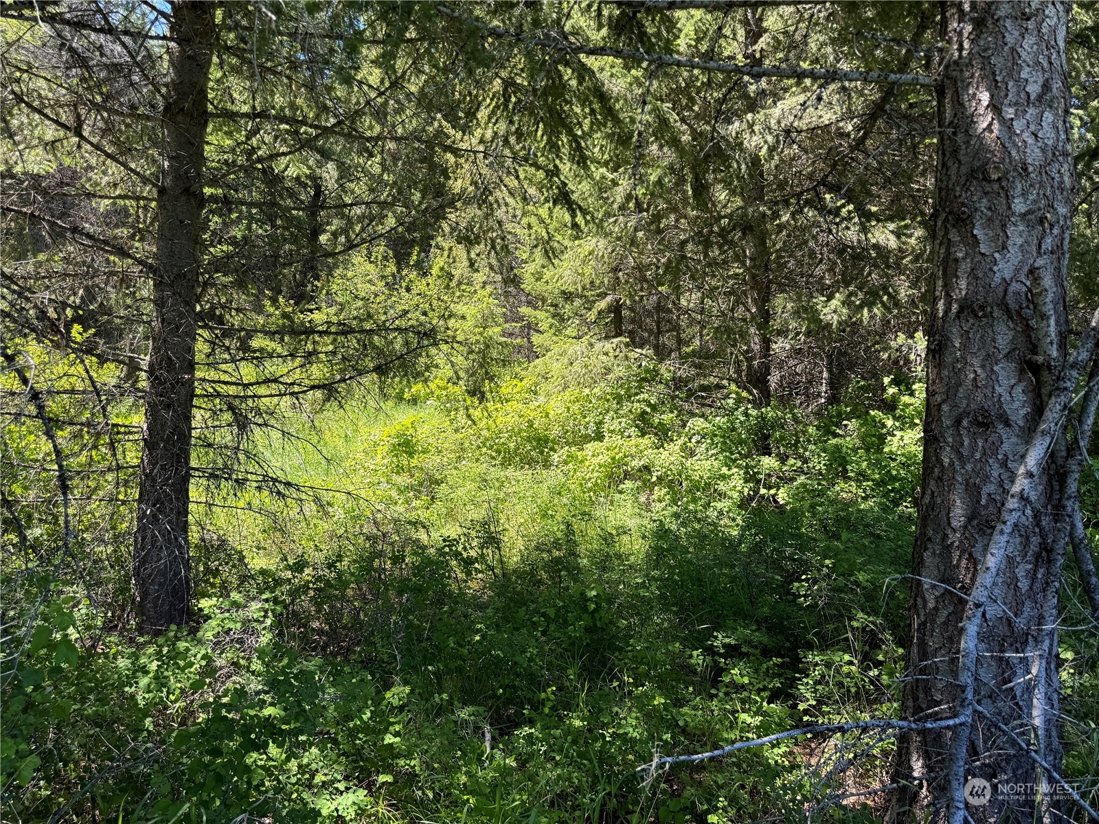 1 TBD Mummarosa Ranch Road