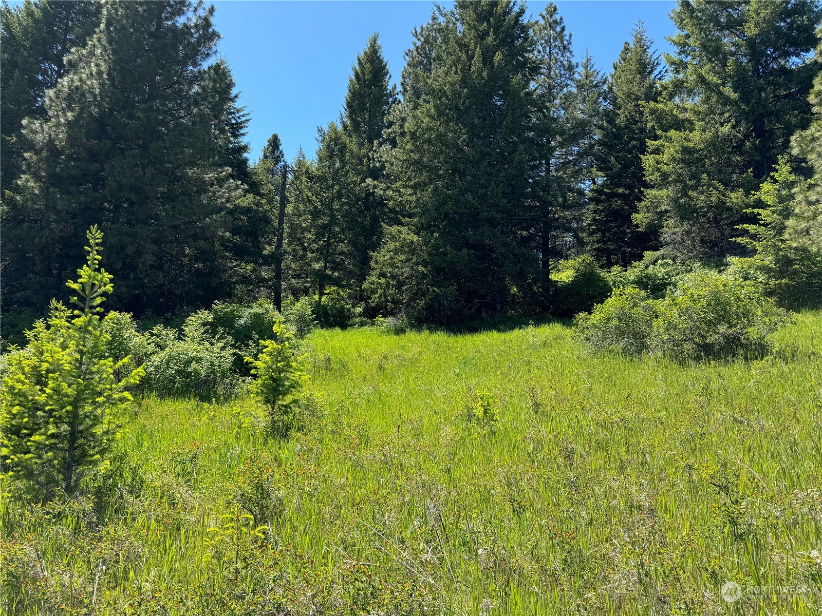 1 TBD Mummarosa Ranch Road