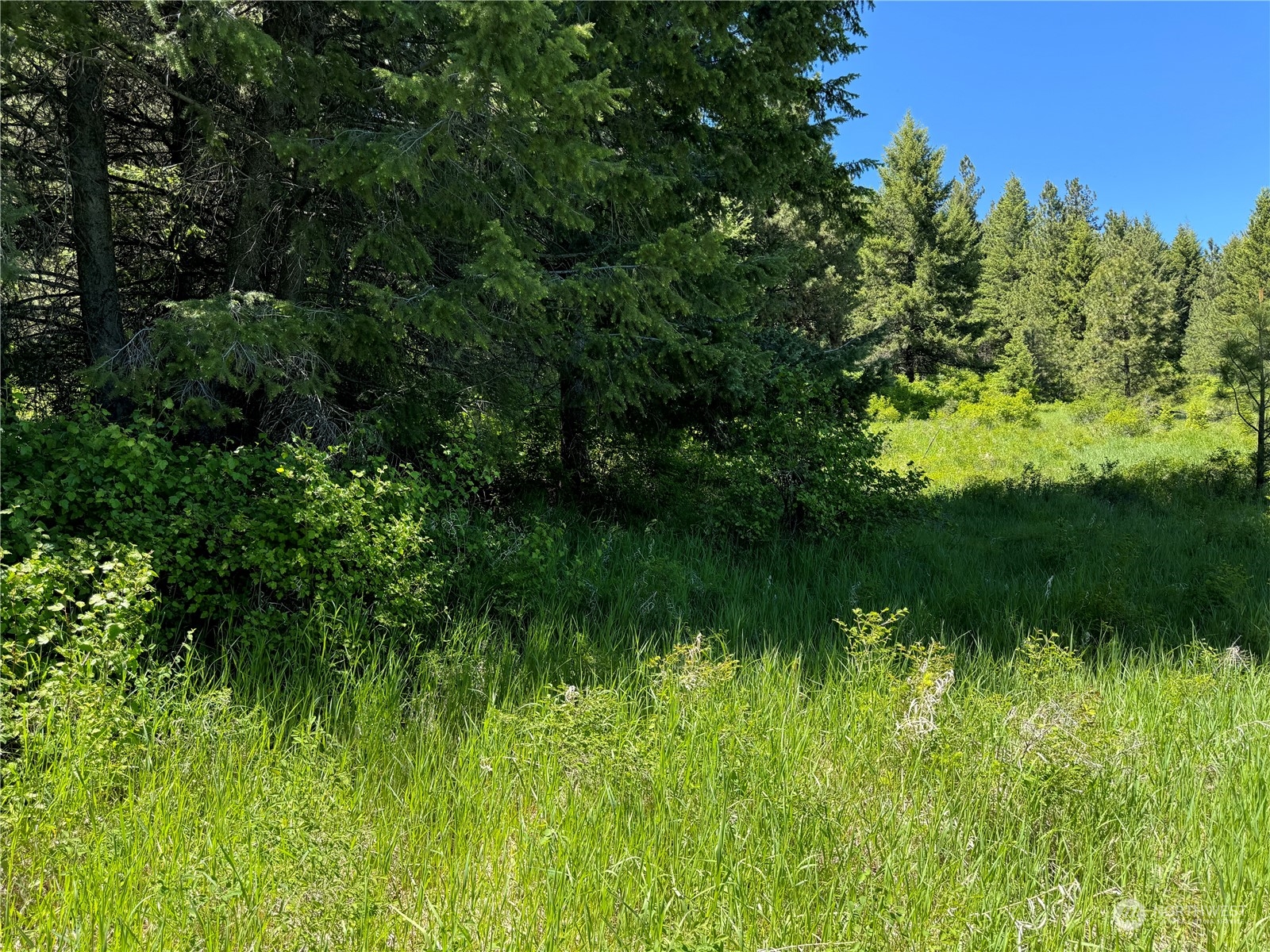 1 TBD Mummarosa Ranch Road