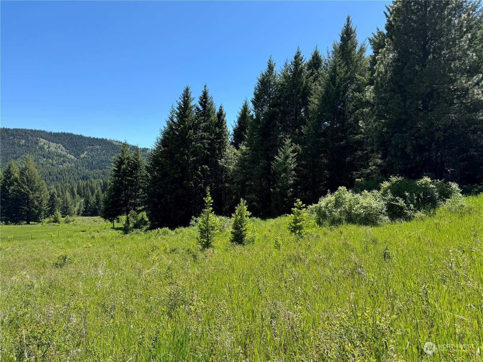 1 TBD Mummarosa Ranch Road