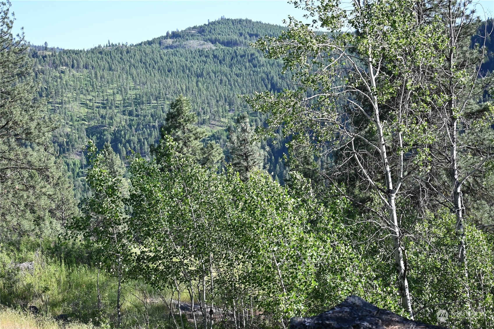 68 Cummins creek Road