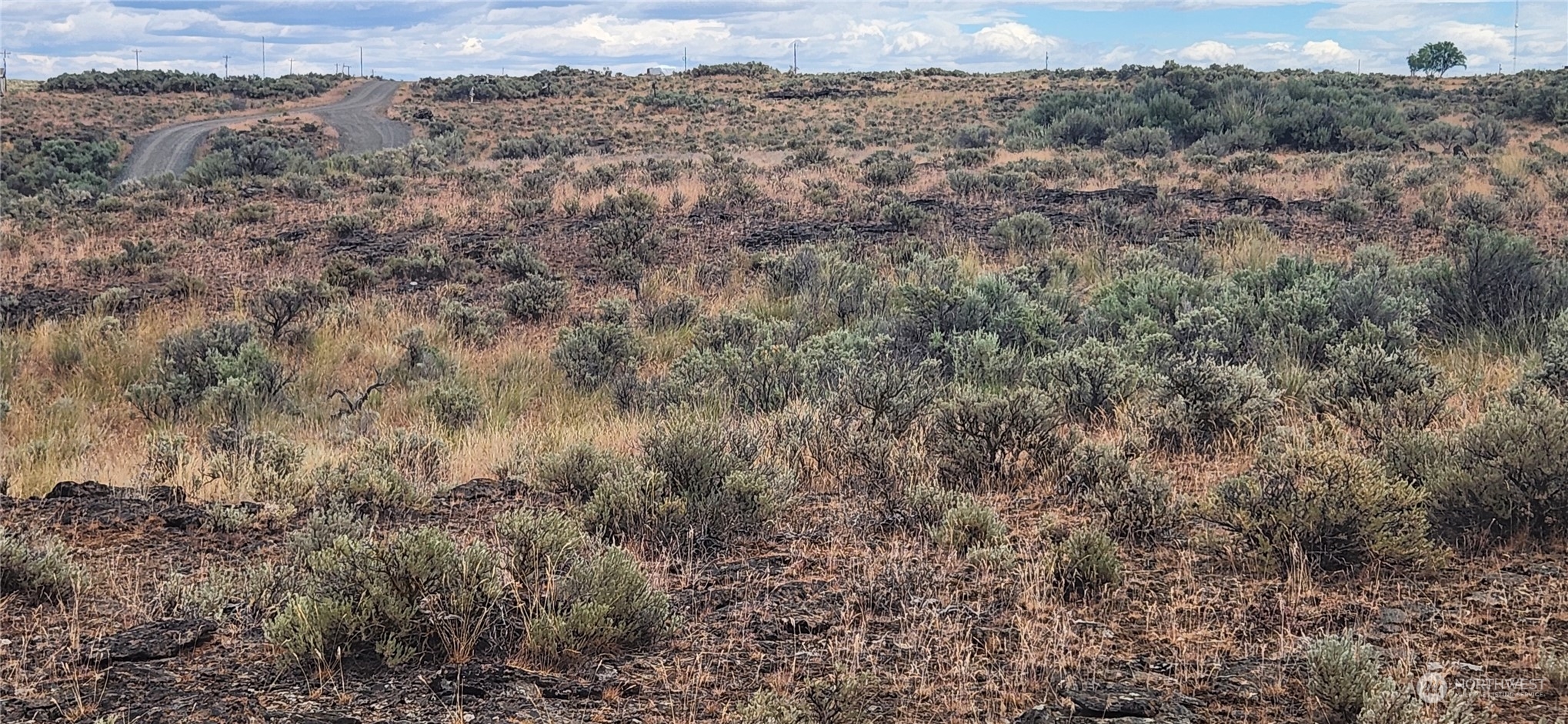 0 Lot 10 Cactus Court