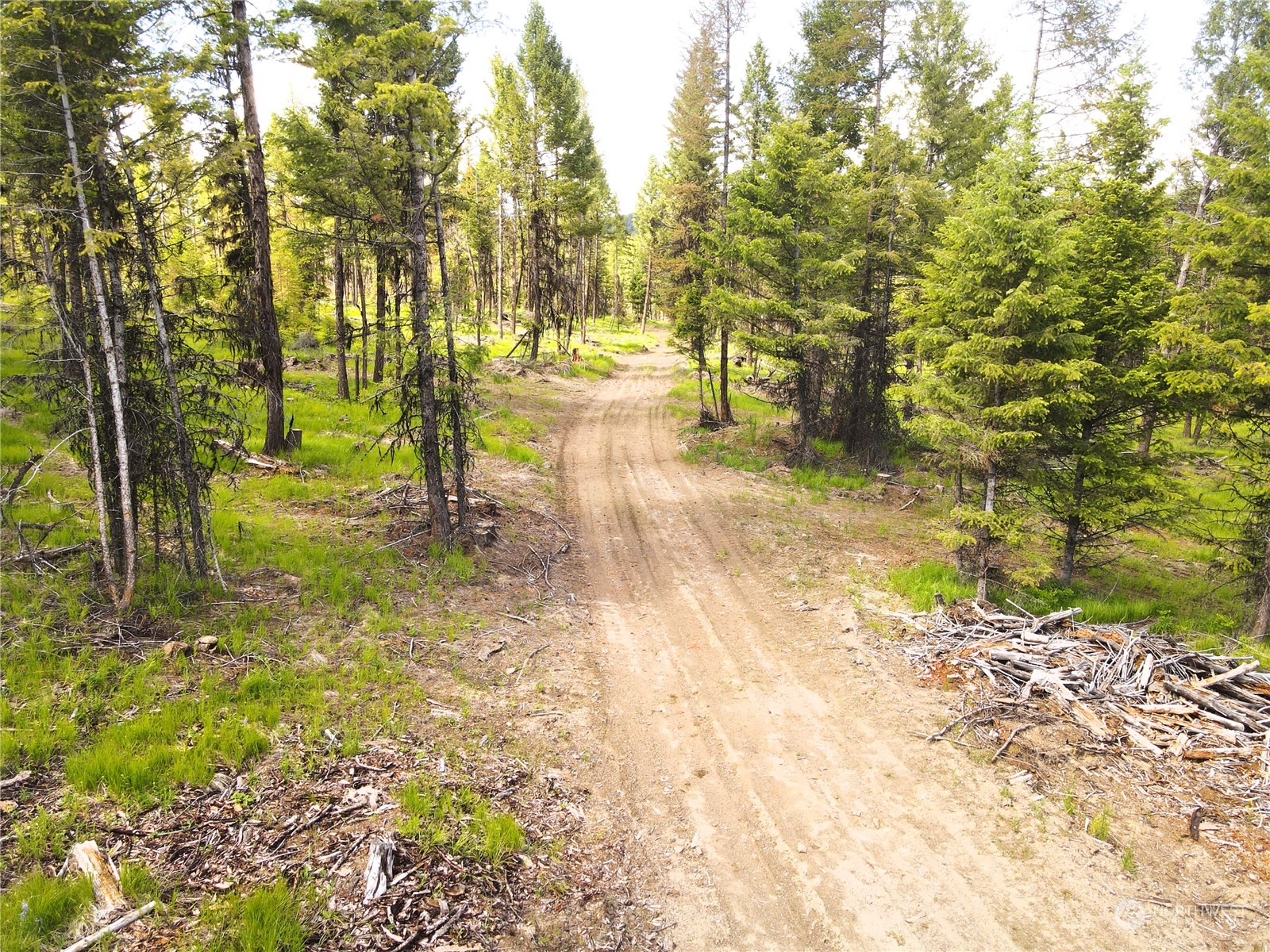 247 xx Prior Loop Road