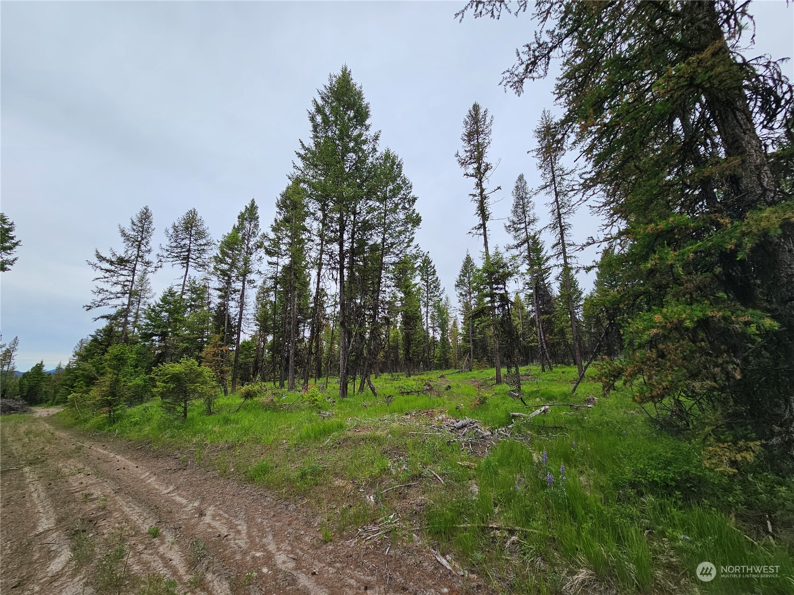 247 xx Prior Loop Road