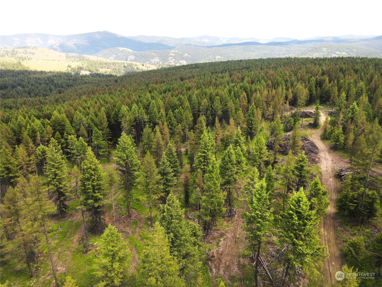 247 xx Prior Loop Road
