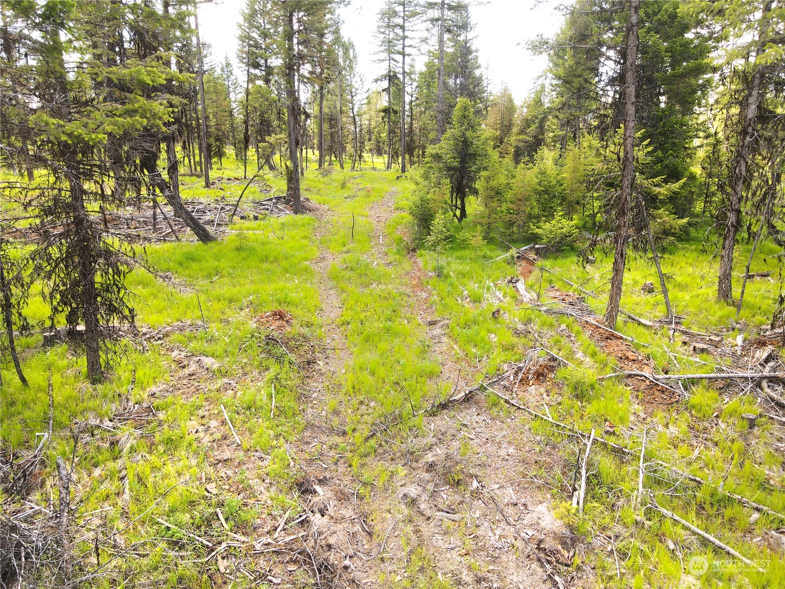 247 xx Prior Loop Road