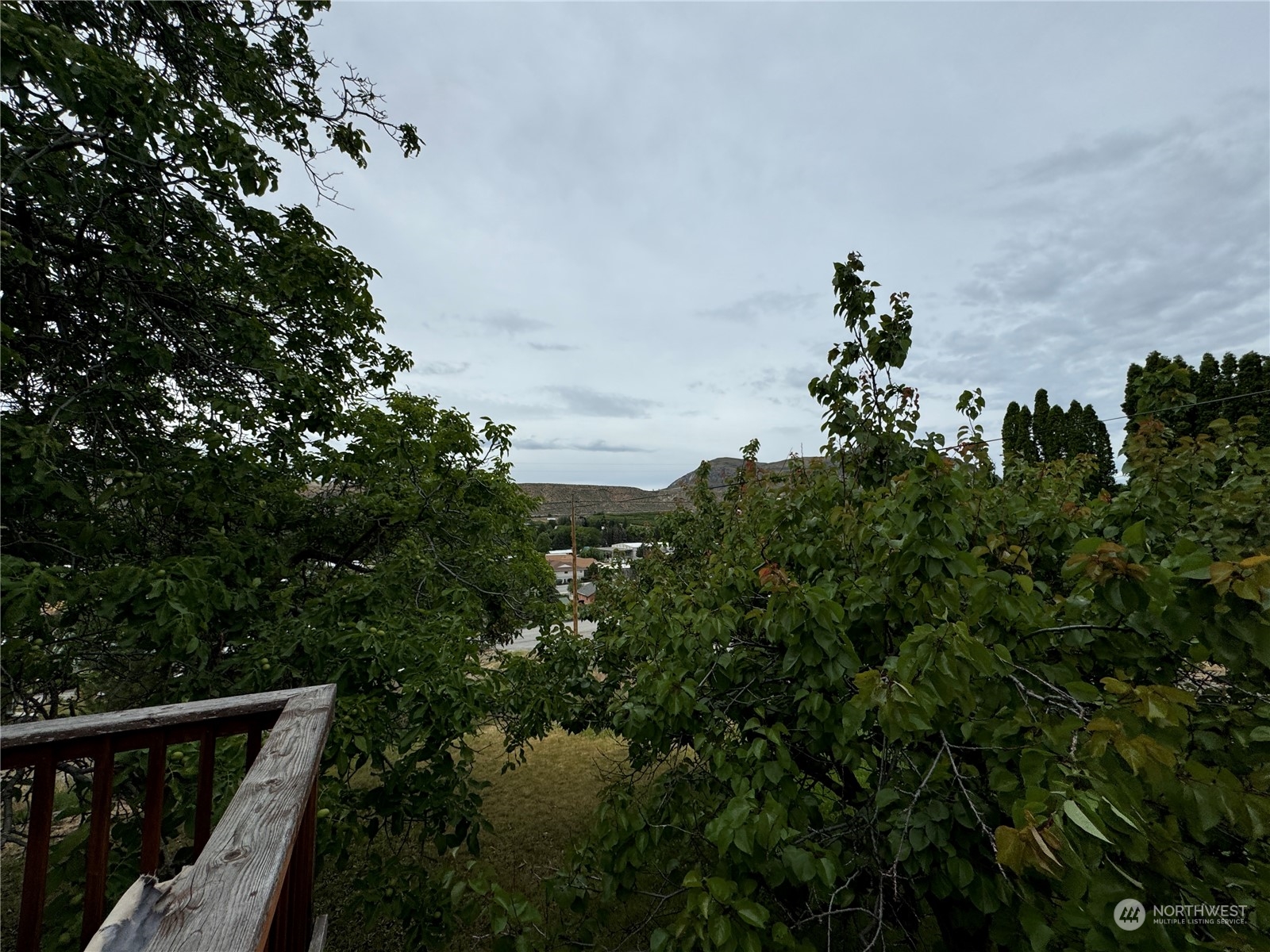 204 S Antwine