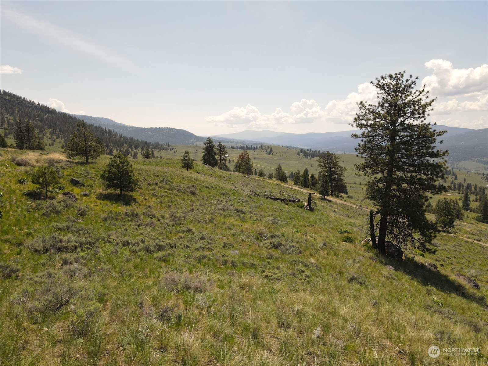 0 XX E Cayuse Mountain Road