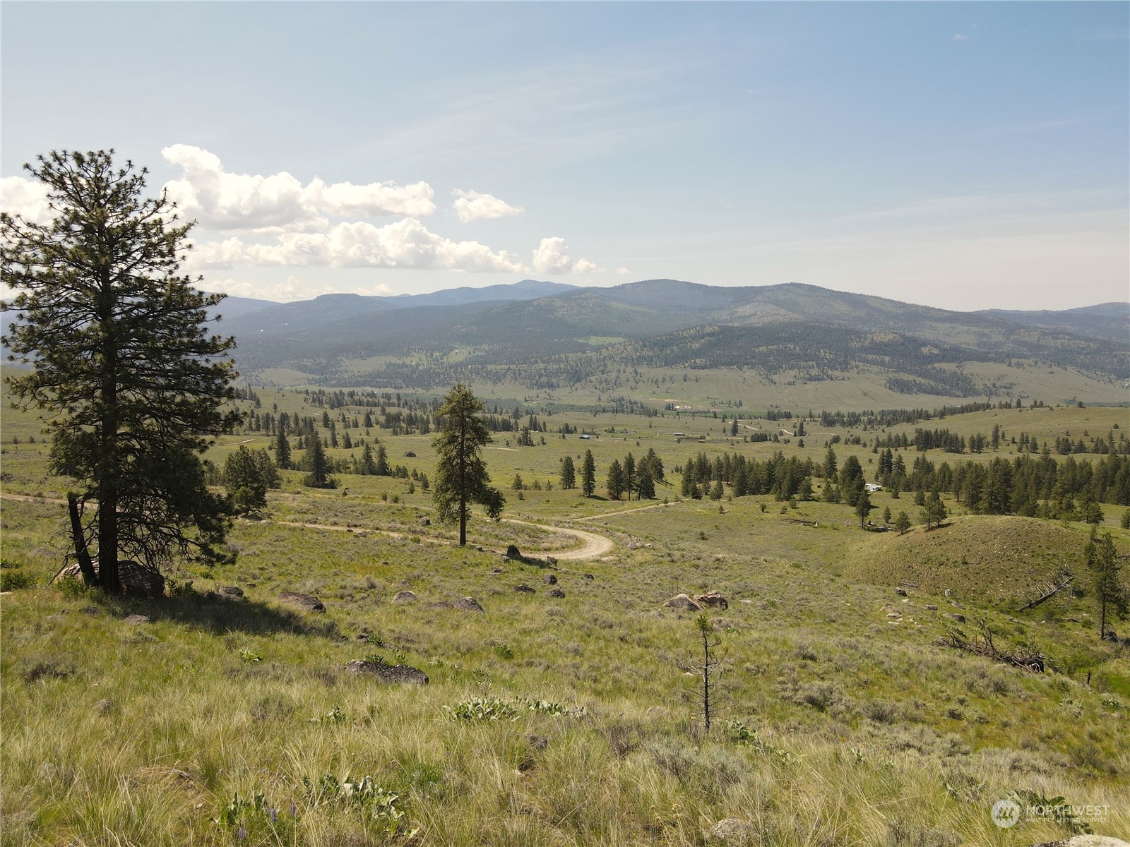0 XX E Cayuse Mountain Road