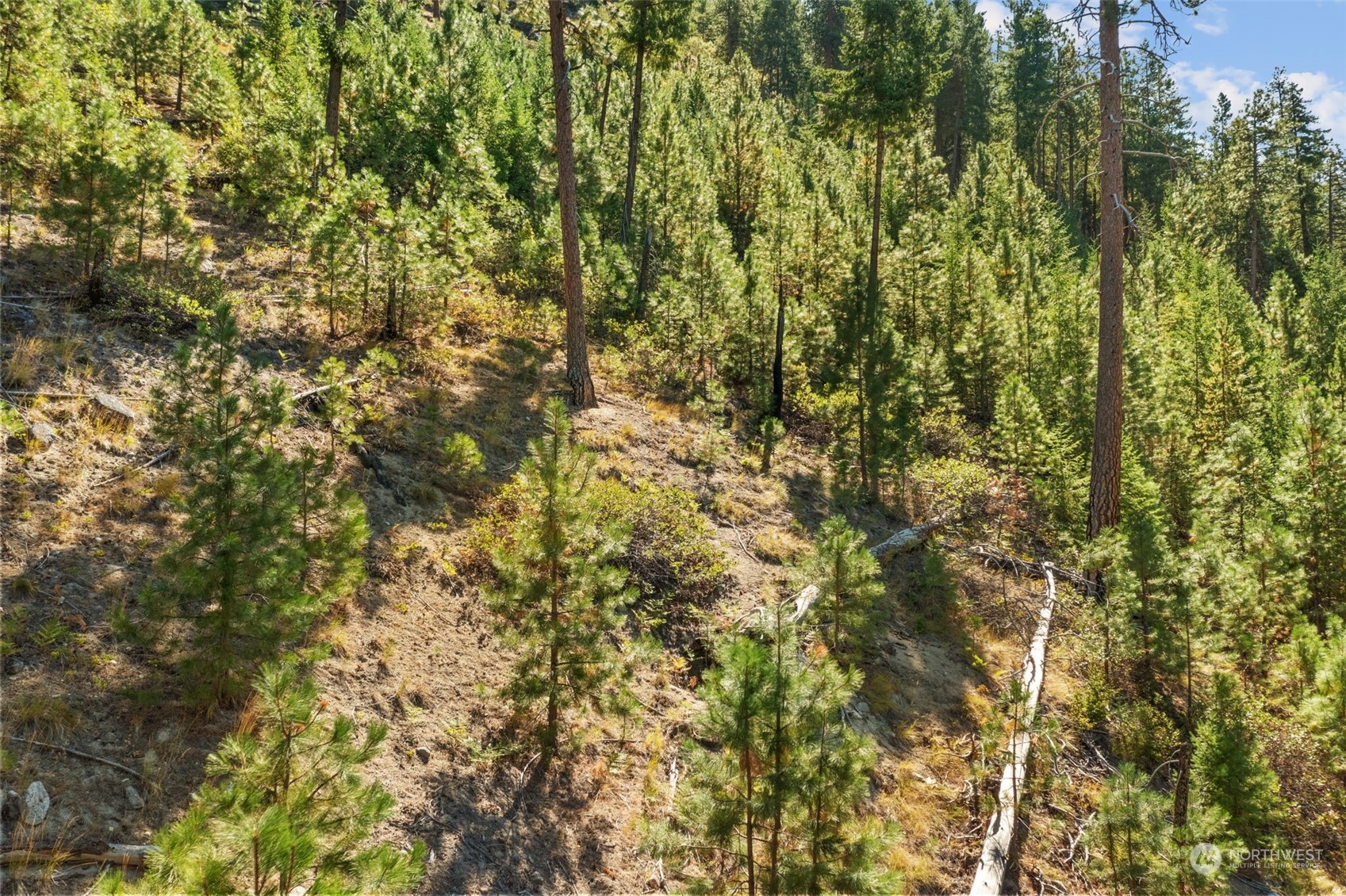 20 Mile Entiat River Road