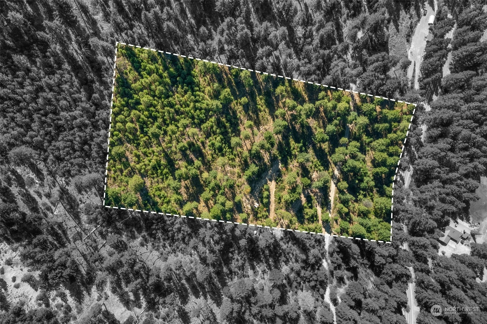 20 Mile Entiat River Road