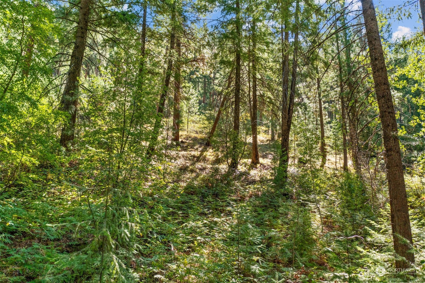 20 Mile Entiat River Road