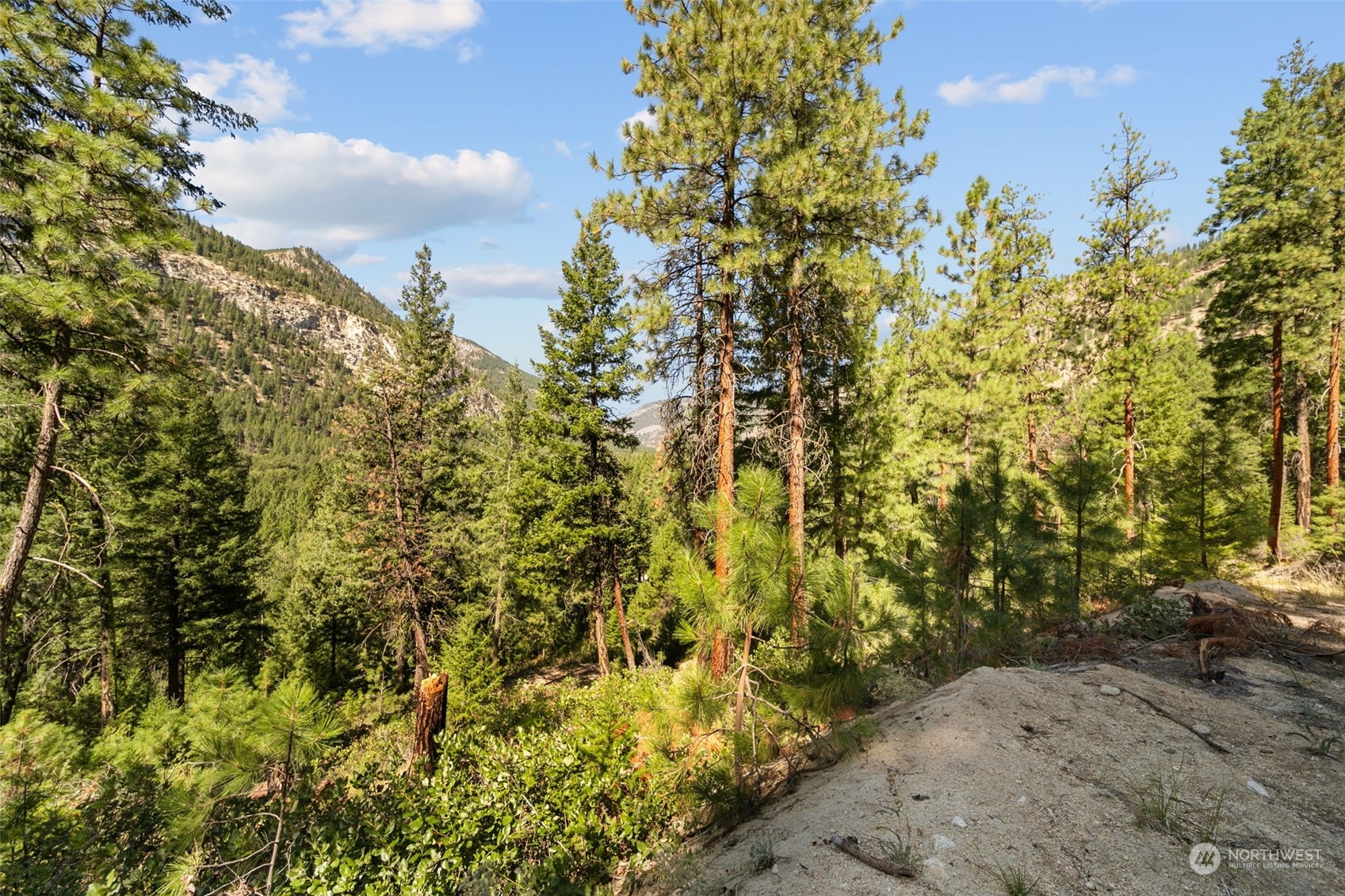 20 Mile Entiat River Road