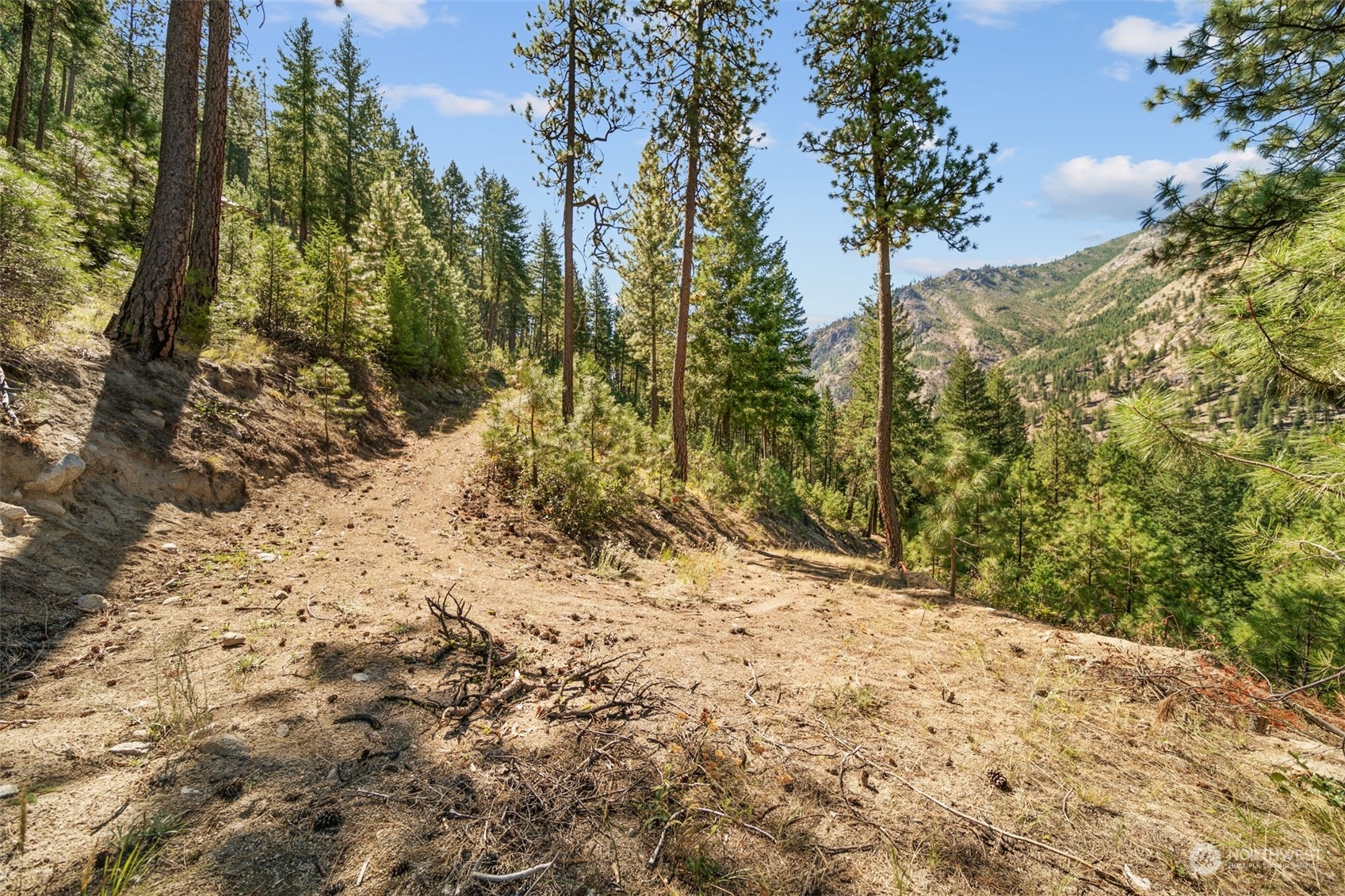 20 Mile Entiat River Road