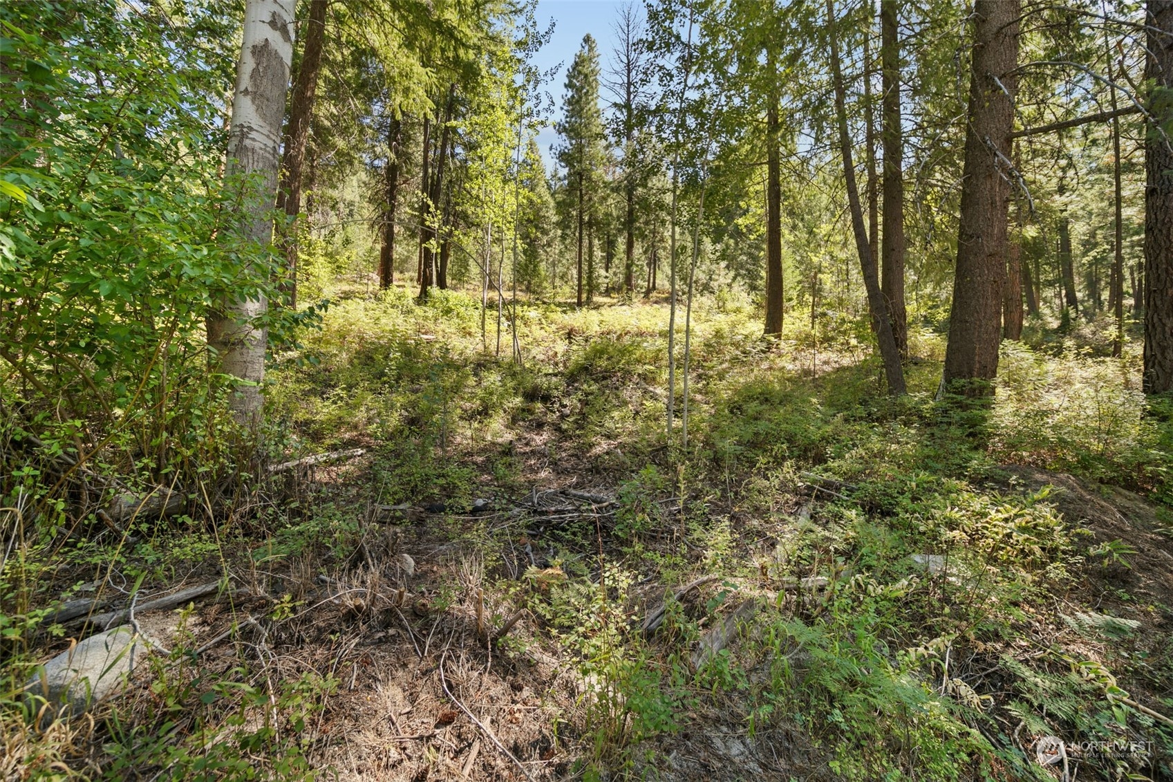 20 Mile Entiat River Road