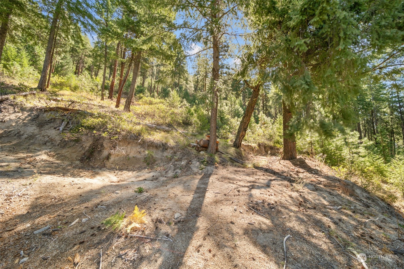 20 Mile Entiat River Road