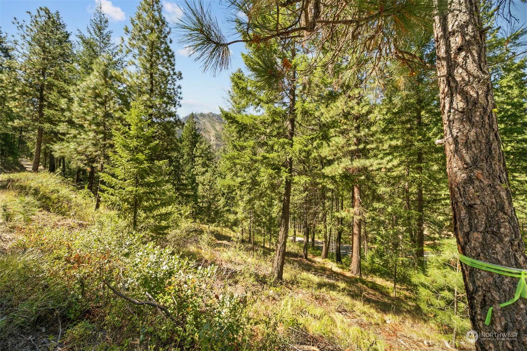 20 Mile Entiat River Road