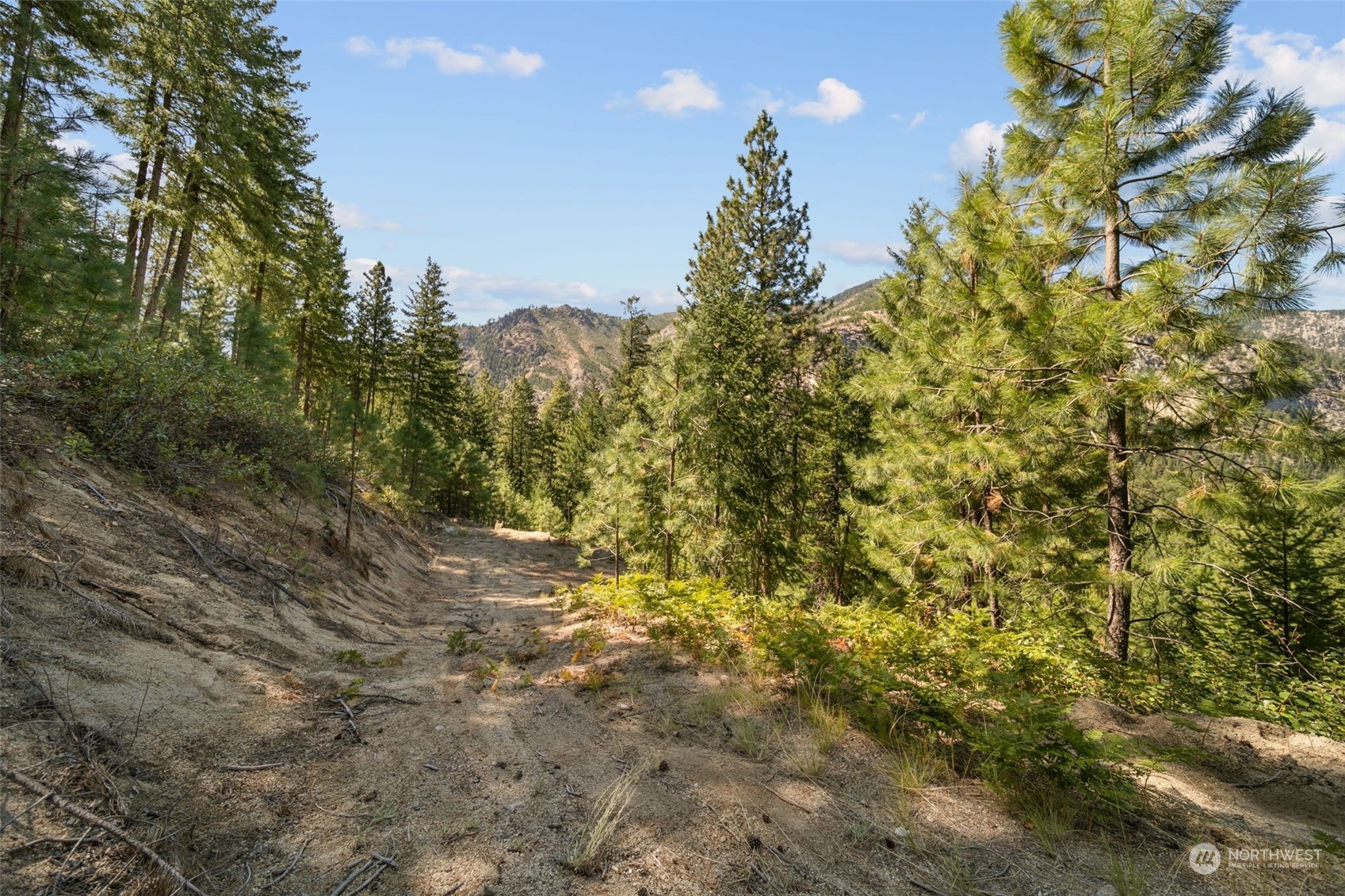 20 Mile Entiat River Road