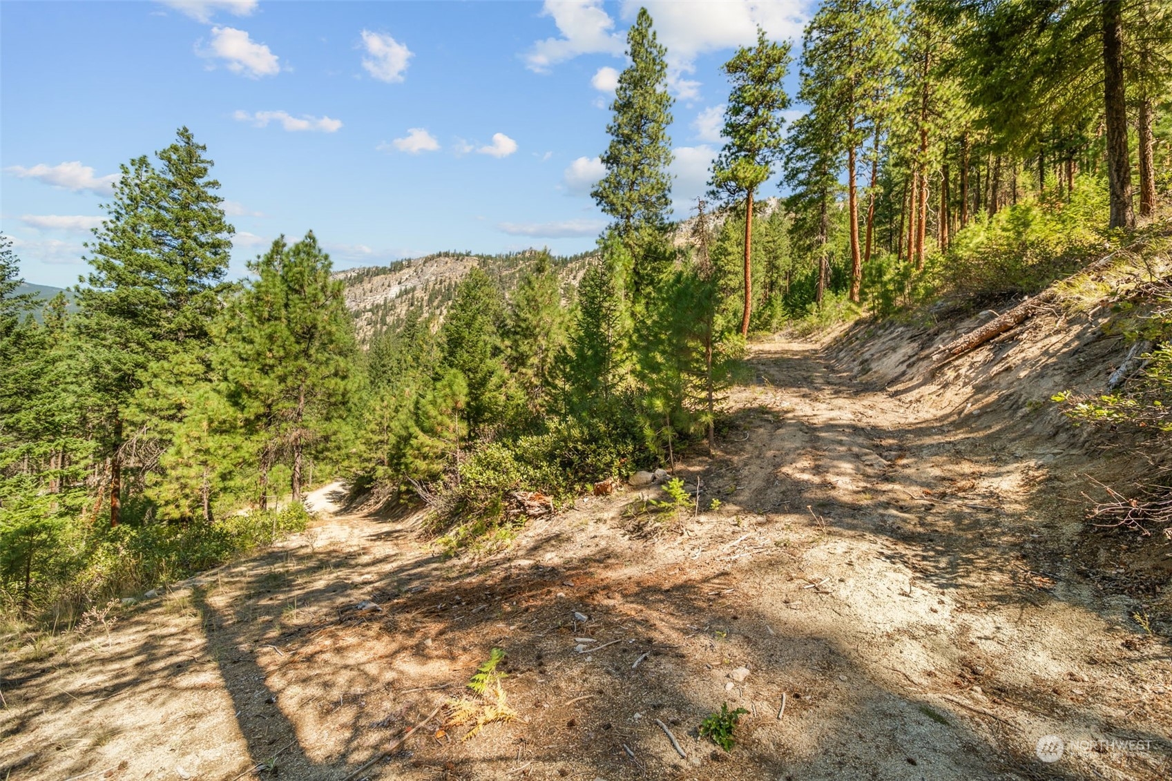 20 Mile Entiat River Road