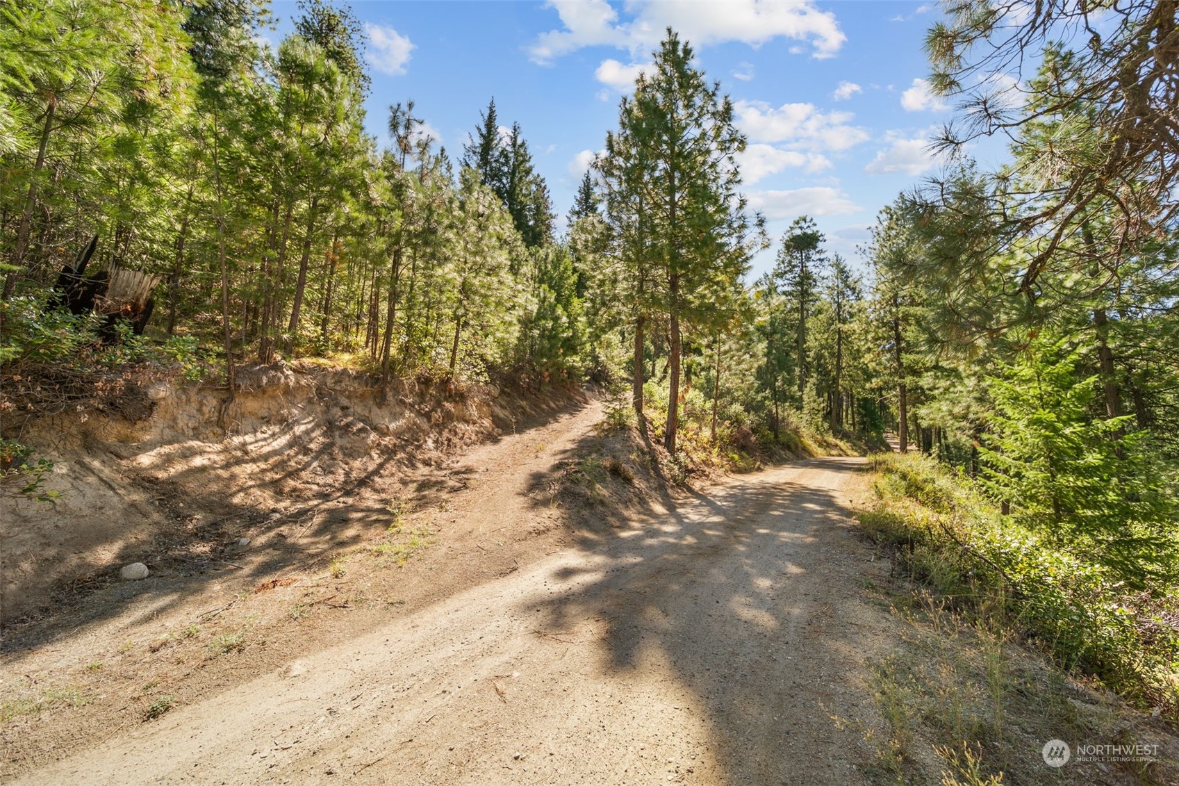 20 Mile Entiat River Road