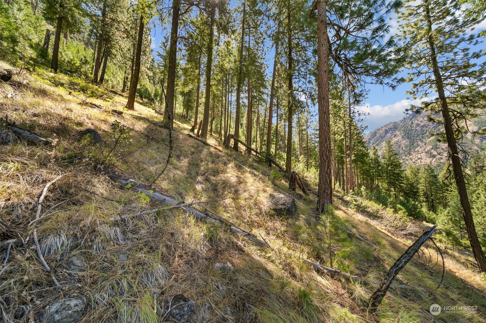 20 Mile Entiat River Road