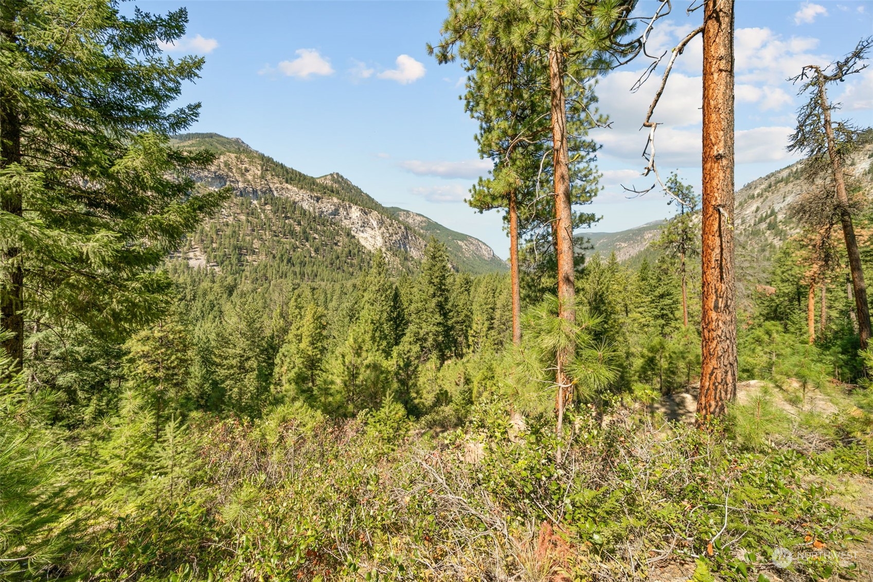 20 Mile Entiat River Road