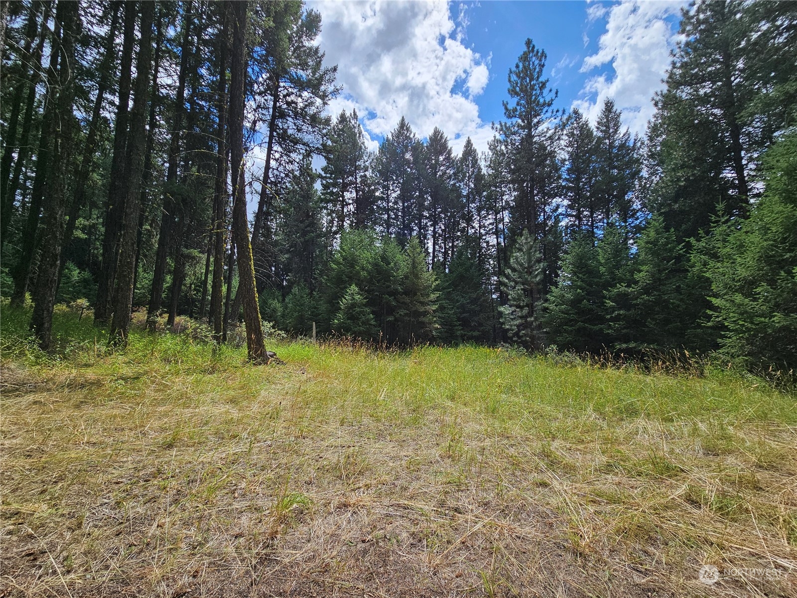 83 Spring Meadow Lane