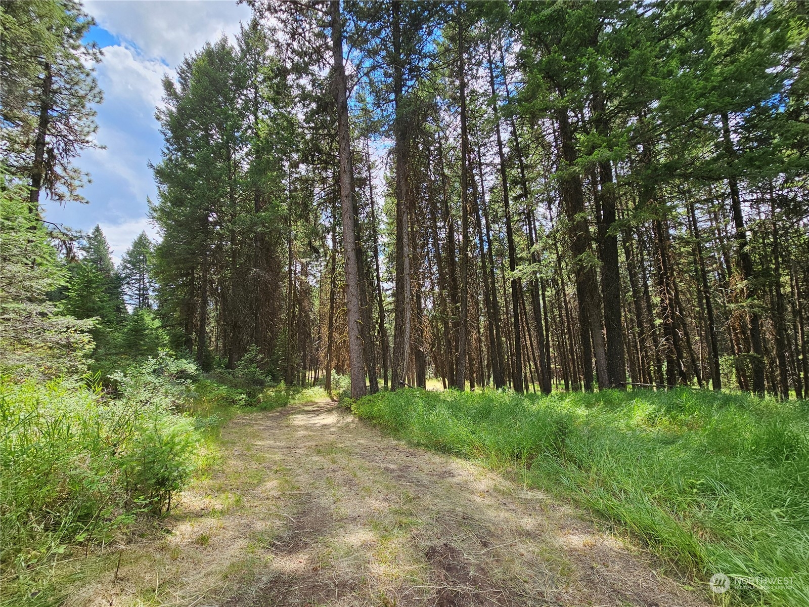 83 Spring Meadow Lane