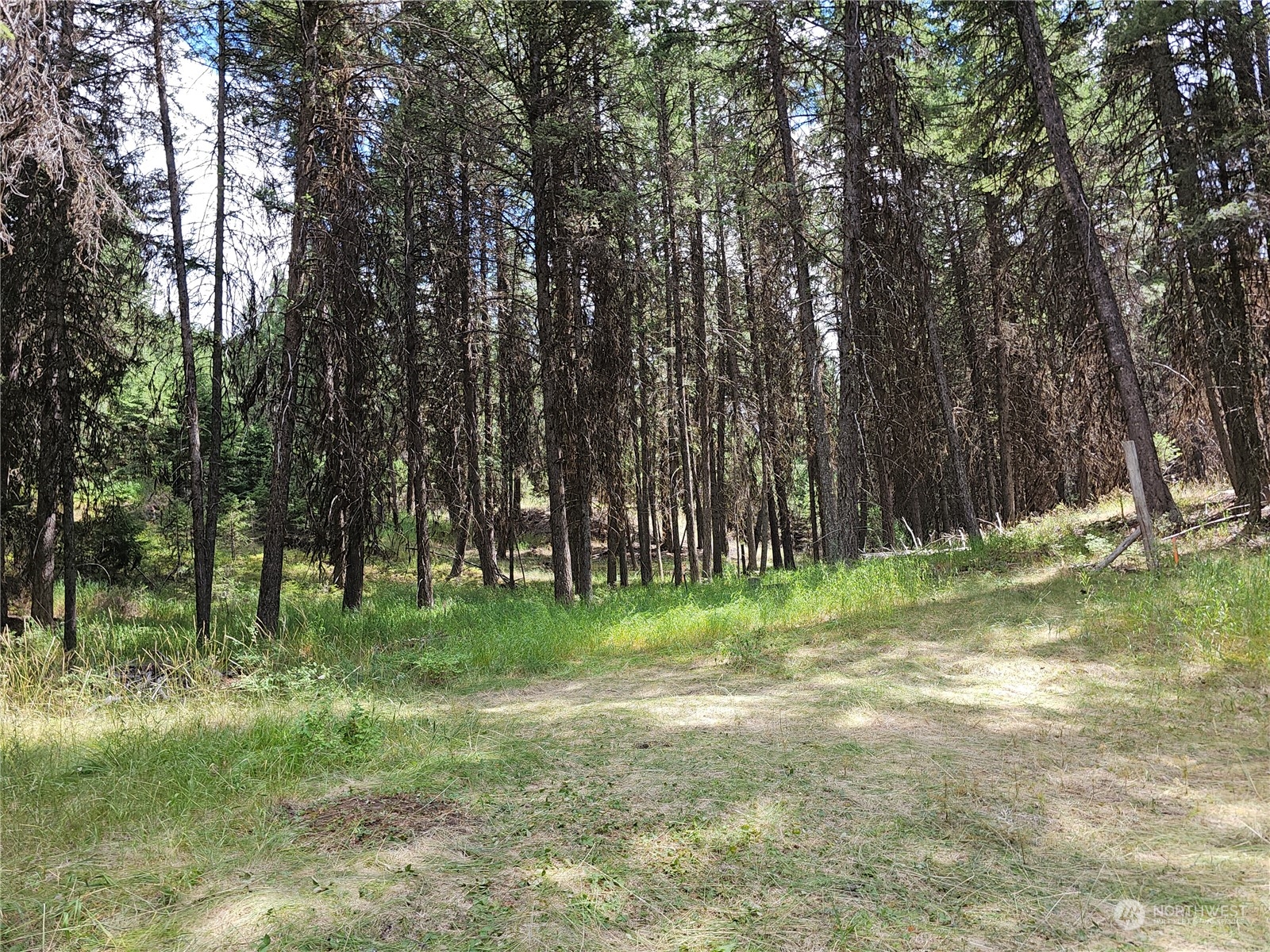 83 Spring Meadow Lane