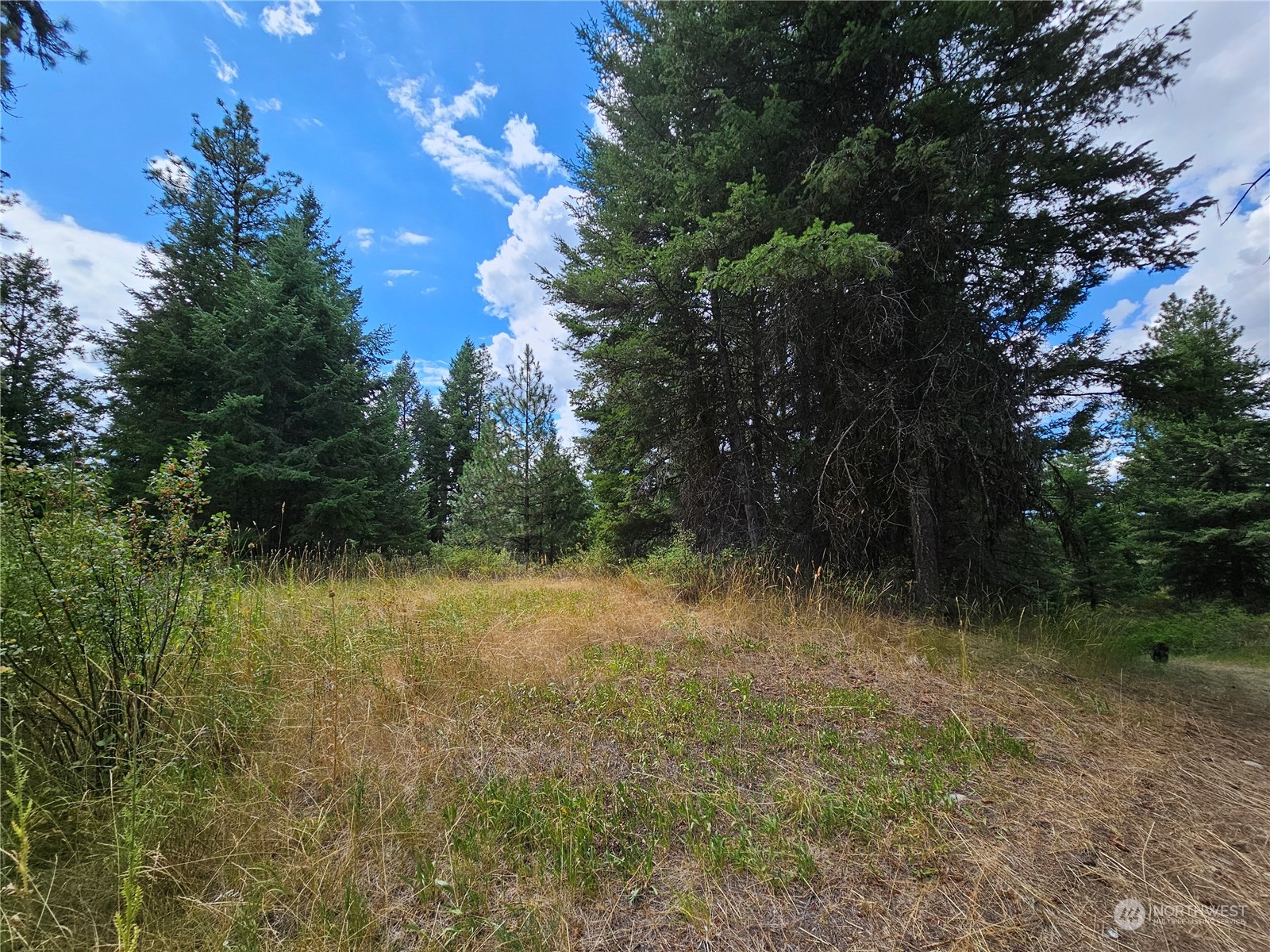83 Spring Meadow Lane